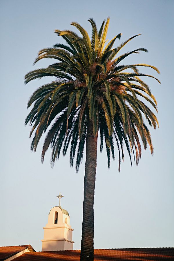 Citrus Inspired Palette at Palmdate Estates - www.theperfectpalette.com - Indu Huynh Photography, La Events Planning