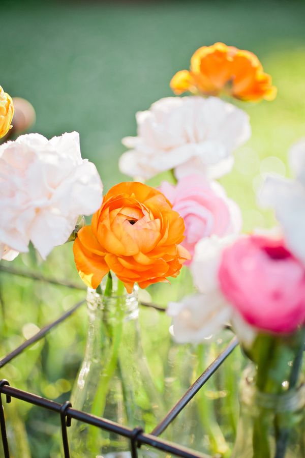 Citrus Inspired Palette at Palmdate Estates - www.theperfectpalette.com - Indu Huynh Photography, La Events Planning