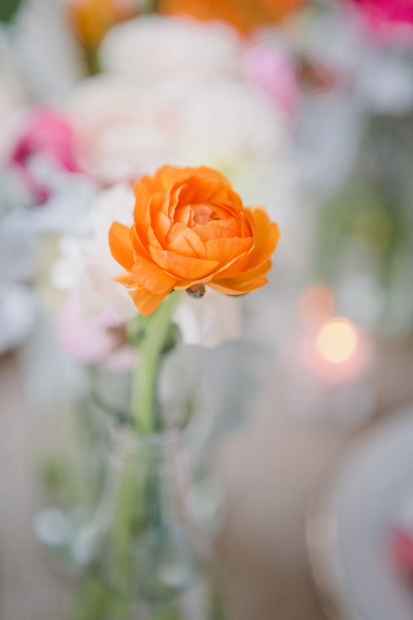 Citrus Inspired Palette at Palmdate Estates - www.theperfectpalette.com - Indu Huynh Photography, La Events Planning