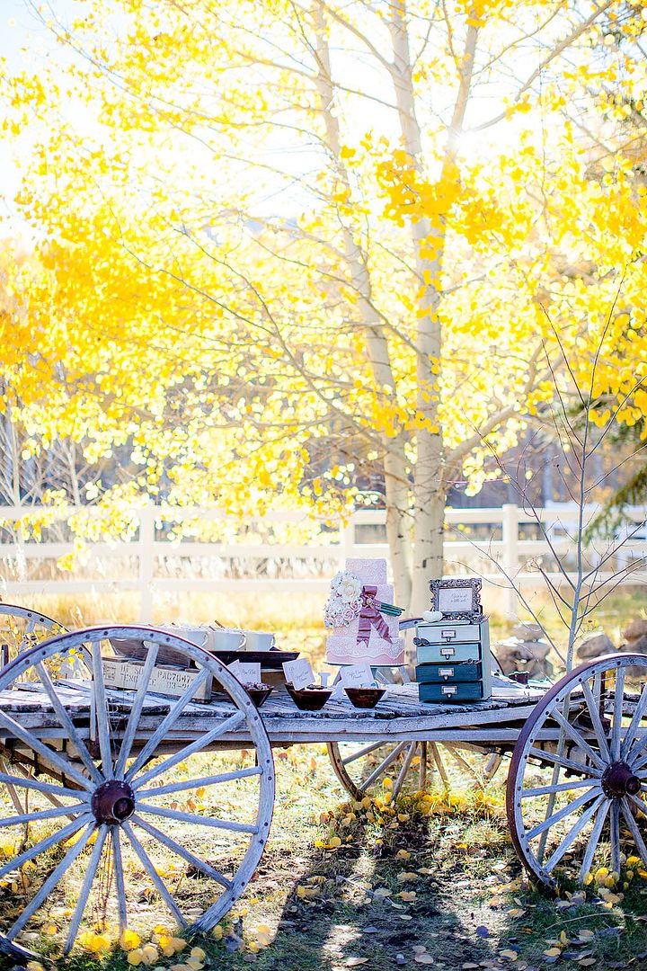 Styled Shoot: Pretty Paisley for Autumn - www.theperfectpalette.com - Michelle Leo Events, Amy Lashelle Photography