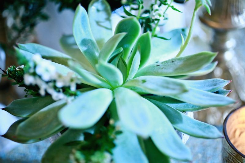 Mint and Gold Wedding Inspiration at the Biltmore Ballrooms - www.theperfectpalette.com - Lemiga Events, Melissa Prosser Photography