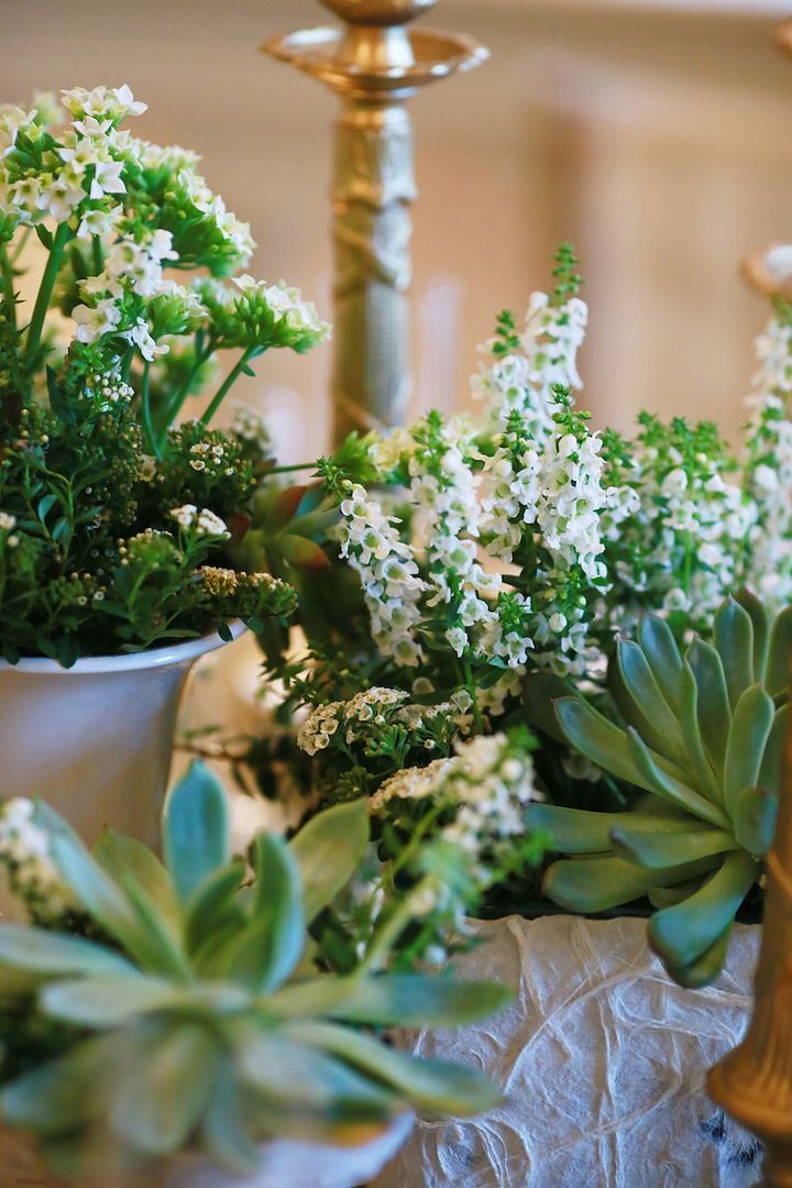 Succulent details - www.theperfectpalette.com - Lemiga Events, Melissa Prosser Photography