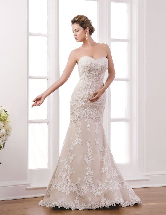 Wedding Gowns that Wow -- Venus Bridals collection www.theperfectpalette.com - Timeless, Elegant, Beautiful
