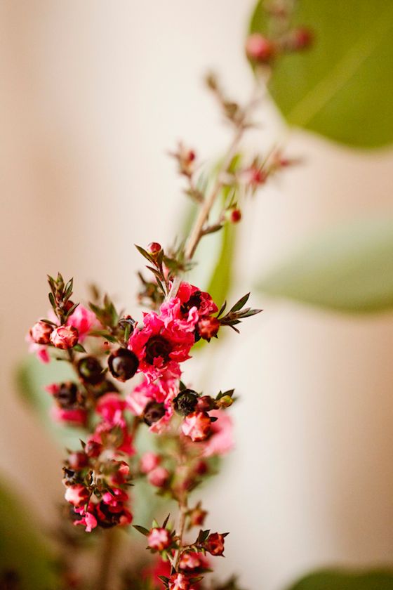 A Valentine's Day Elopement -- www.theperfectpalette.com -- Design by Captivating Chic Celebrations, Lauren Halvorson Photography