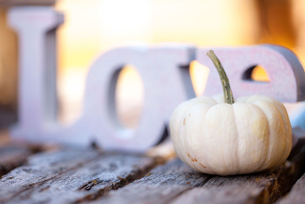 Styled Shoot: Pretty Paisley for Autumn - www.theperfectpalette.com - Michelle Leo Events, Amy Lashelle Photography