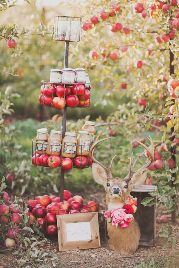Apple Orchard Wedding Inspiration - www.theperfectpalette.com - Styling Ideas for Weddings + Parties
