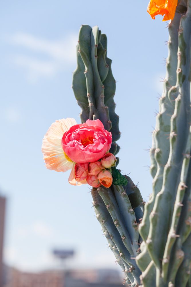 Urban Palm Springs Styled Shoot - www.theperfectpalette.com - Whimsy Events & Design, Forever Bride, Noah's Ark Photography