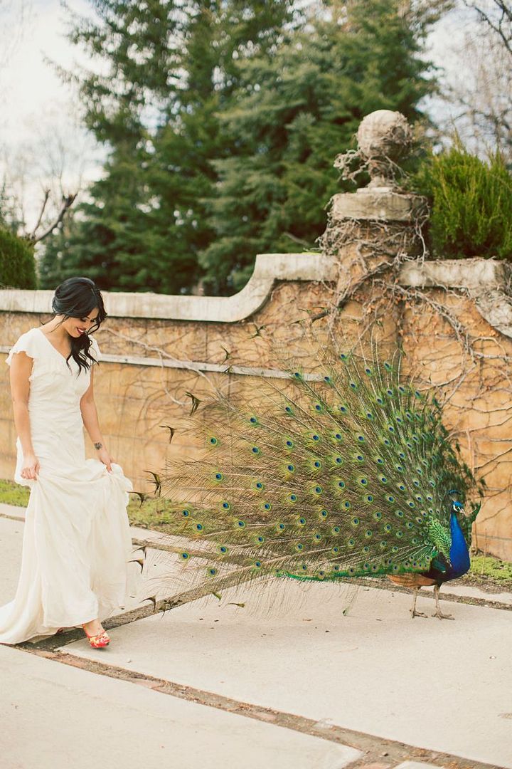 Mediterranean Inspired Shoot with Bright + Bold Color - www.theperfectpalette.com - Michelle Leo Events, Alixann Loosle Photography