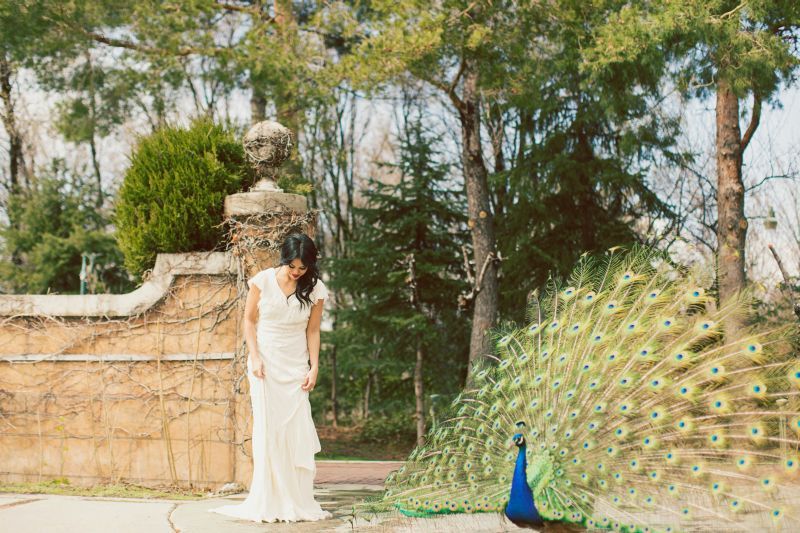 Mediterranean Inspired Shoot with Bright + Bold Color - www.theperfectpalette.com - Michelle Leo Events, Alixann Loosle Photography