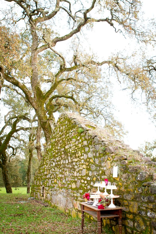 Styled Shoot in Sonoma: Gorgeous Fall Inspiration - www.theperfectpalette.com - Angie Capri Photography, Styled by Amanda O'Shannessy Creative