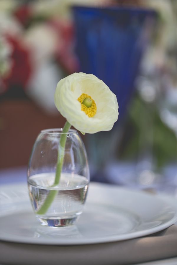 Inspiration for a 4th of July Wedding: Red, White + Blue: www.theperfectpalette.com - Hazy Lane Studios