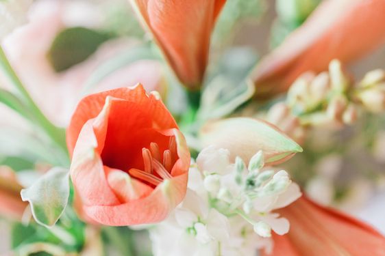 Pantone's Color Of The Year, Marsala! A Styled Shoot - www.theperfectpalette.com - The Howard Brand, Flowers on Orchard Lane