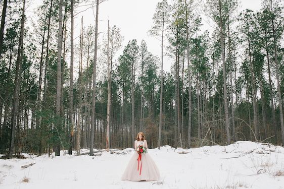  Blush and Red Velvet Snowy Bridals, Kristin Partin Photography