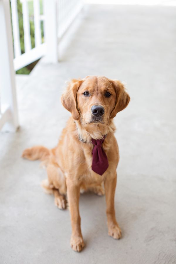  Country Farm Wedding in Pennsylvania 