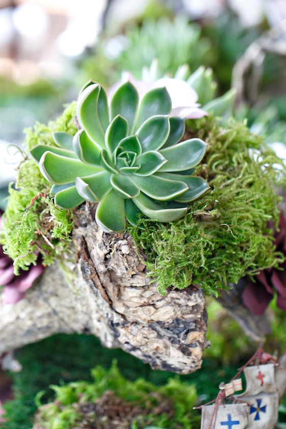  Marsala Tabletop Design with Succulents, Amy Anaiz Photography, Floral Design by Glen Head Flower Shop, Calligraphy by Eliza Gwendalyn