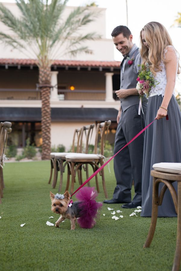  Bright Pink Arizona Wedding Inspiration