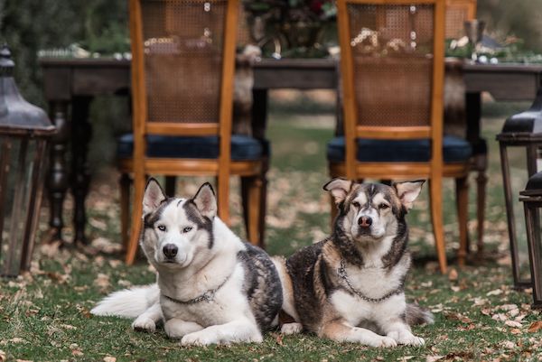  Modern & Romantic Game of Thrones Wedding Inspiration