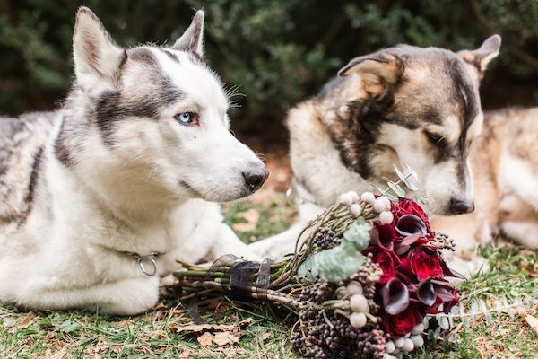  Modern & Romantic Game of Thrones Wedding Inspiration