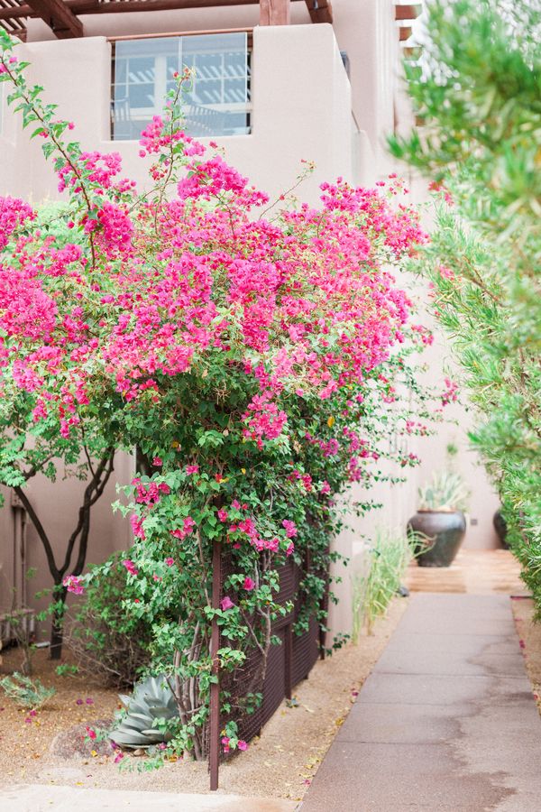  Dainty European Wedding Inspiration in the Desert