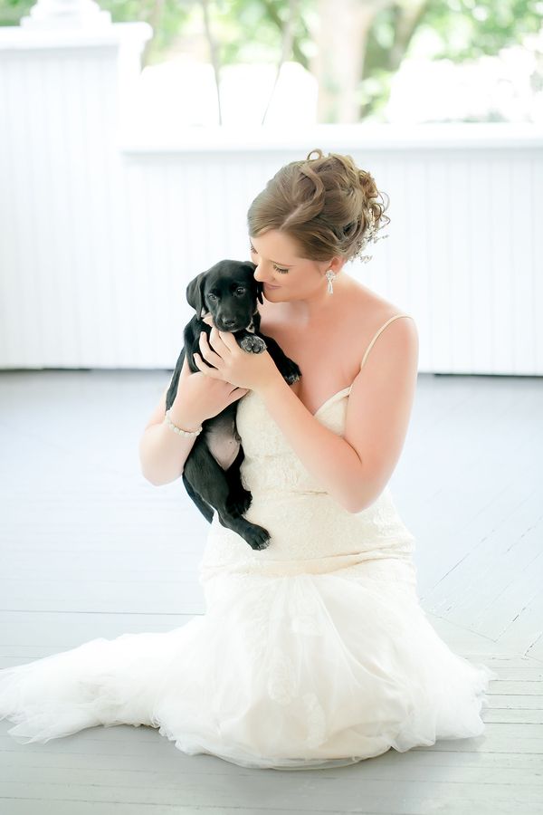  Peppy Wedding Inspiration with Puppies Galore!