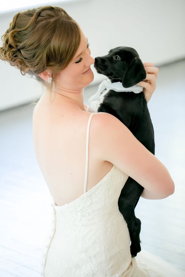 Peppy Wedding Inspiration with Puppies Galore!