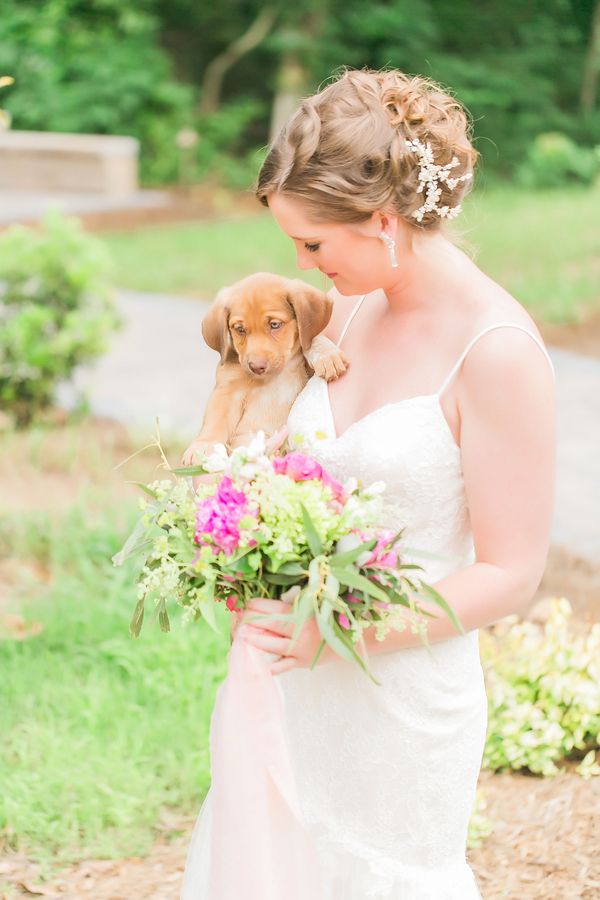 Peppy Wedding Inspiration with Puppies Galore!