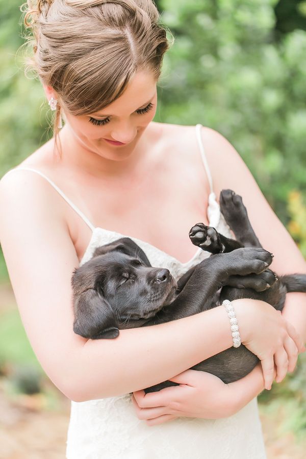 Peppy Wedding Inspiration with Puppies Galore!