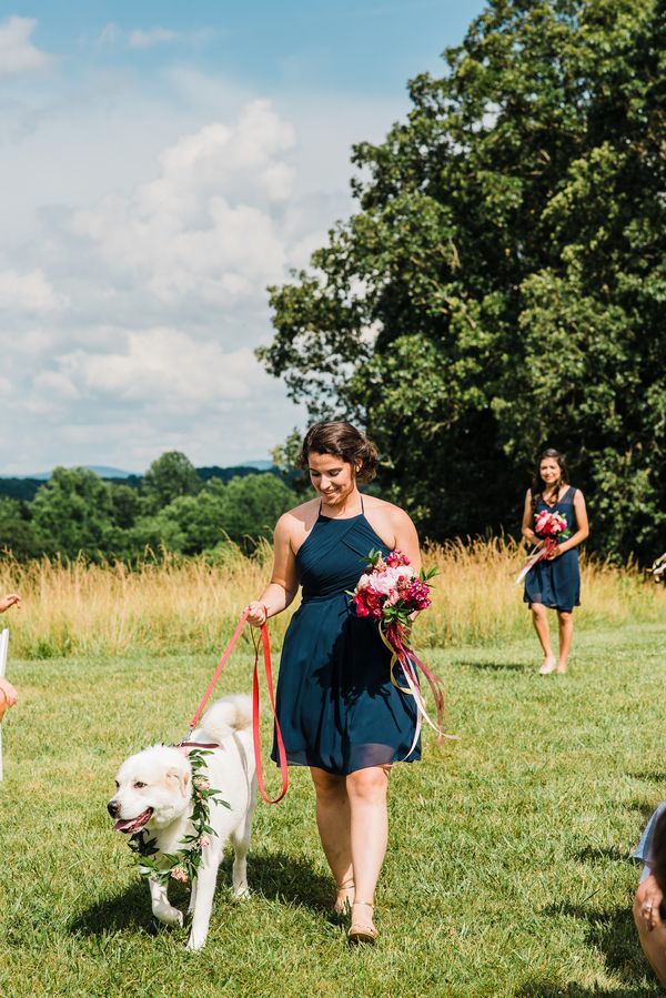 Kalika and Ben's Colorful Wedding in the Mountains