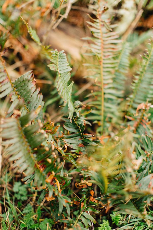 Ethereal Bridal Session Inspo in the Forest