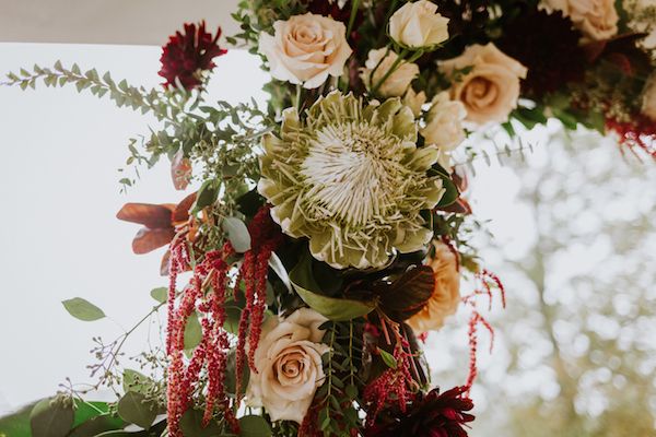  A North Georgia Wedding with Proteas and Plenty of Venezuelan Flair