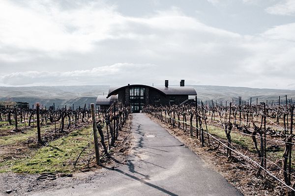 Opulence at a Winery Wedding Inspo with Dark Colors