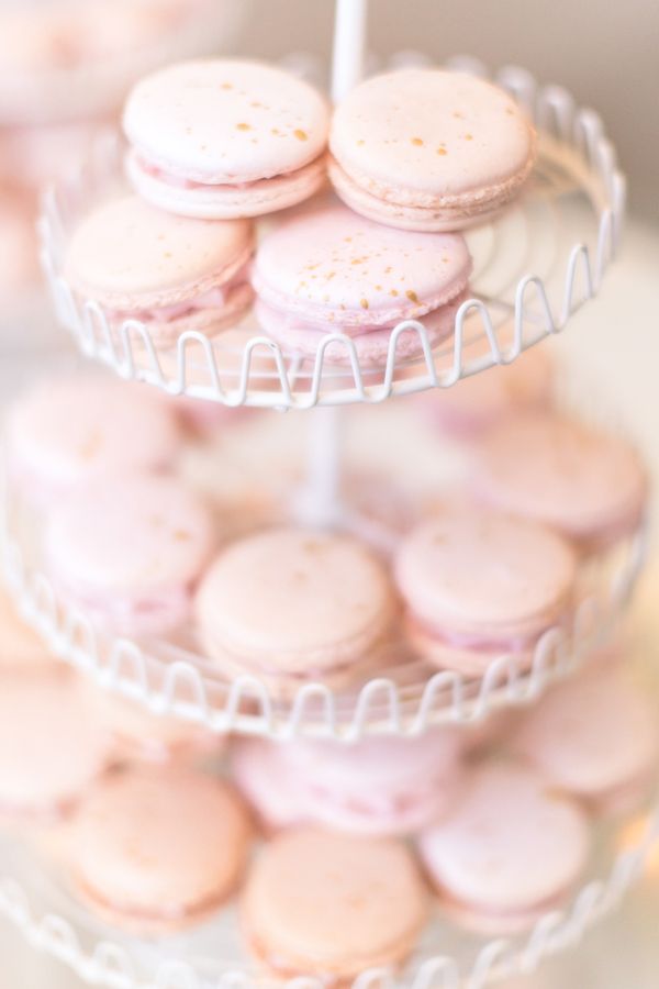 Stunning Dusty Rose Wedding in Montana