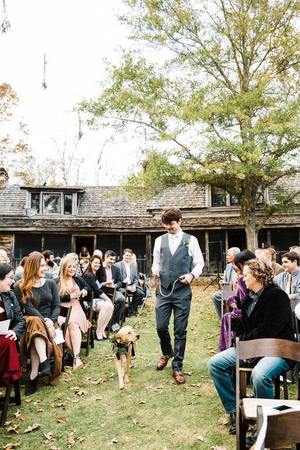 Two AnimalLovers Get Married in Alabama The Perfect Palette