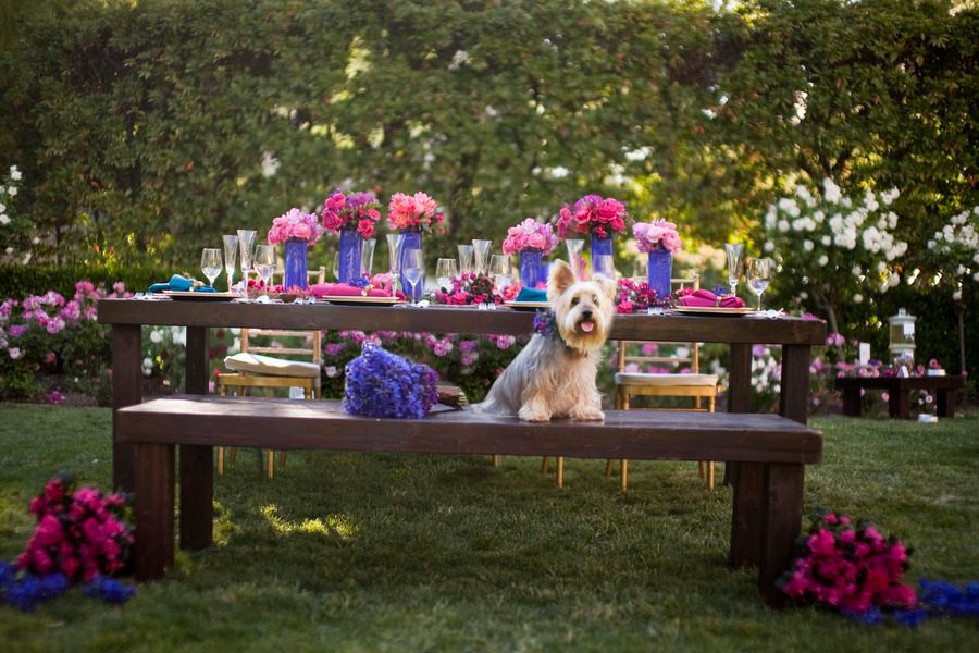  LGBT Styled Shoot | Modern, Colorful and Gorgeous - to see more: http://www.theperfectpalette.com - by Cakes and Kisses Photography