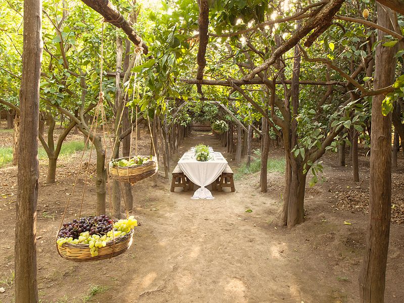 In Love In Italty: The Lemon Grove - www.theperfectpalette.com - Color Ideas for Weddings + Parties