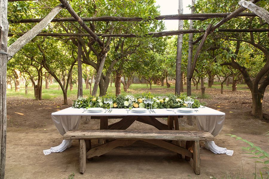 In Love In Italy: The Lemon Grove - www.theperfectpalette.com - Color Ideas for Weddings + Parties