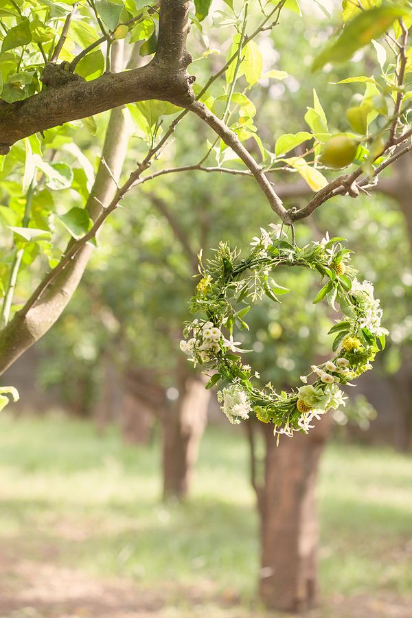 In Love In Italy: The Lemon Grove - www.theperfectpalette.com - Color Ideas for Weddings + Parties