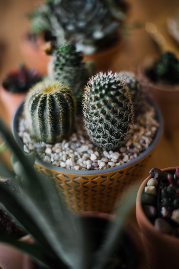 Retro Meets Boho in This Desert-Themed Wedding Inspiration