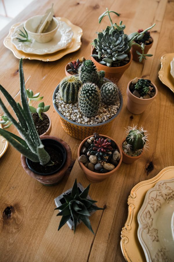 Retro Meets Boho in This Desert-Themed Wedding Inspiration