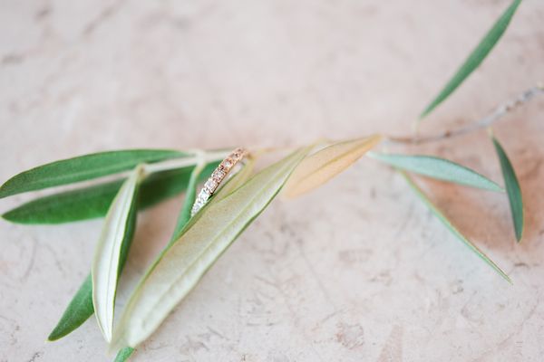  Romantic Regale Winery Wedding in the Santa Cruz Mountains