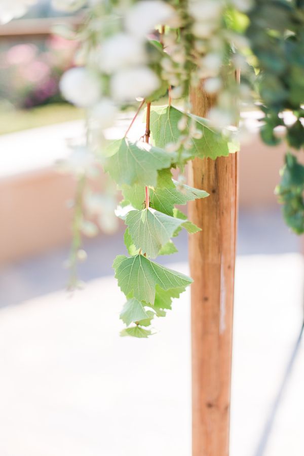  Romantic Regale Winery Wedding in the Santa Cruz Mountains