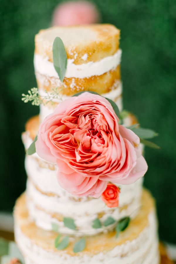 Festive Outdoor Wedding in Wisconsin