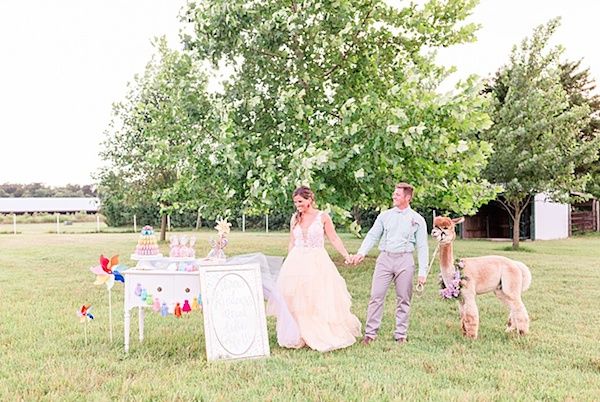  A Quirky Wedding with Alpacas and Whimsy Galore