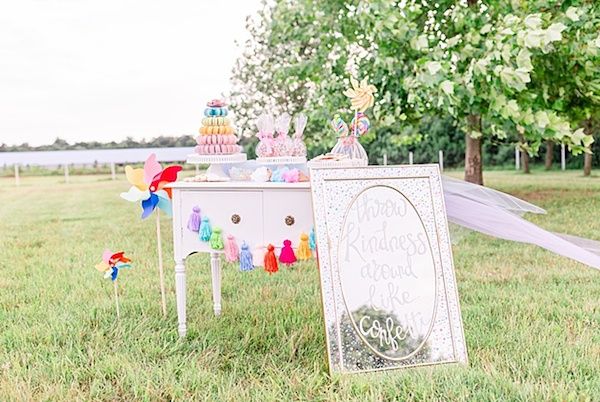  A Quirky Wedding with Alpacas and Whimsy Galore