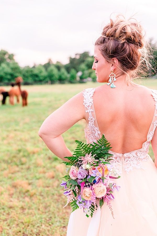  A Quirky Wedding with Alpacas and Whimsy Galore