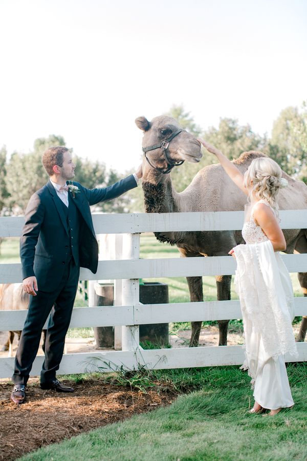  Elegant Barn Wedding at a Private Estate in Illinois