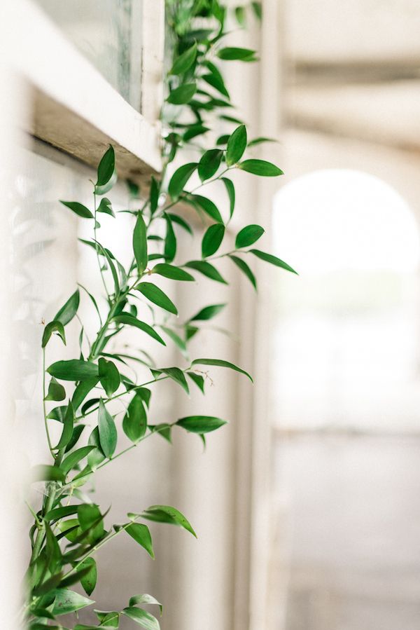  Classic Wedding Inspo at The Belle Isle Boat House