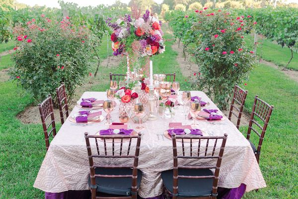  A Tuscan Love Story in the Vines