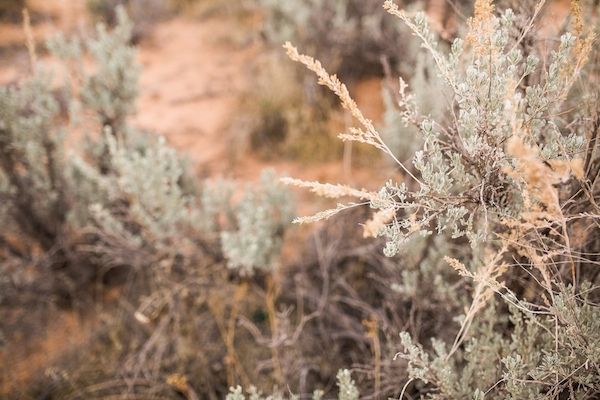  Candlelit Elopement in Zion National Park