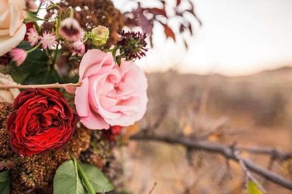  Candlelit Elopement in Zion National Park